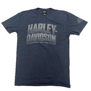 Harley Davidson T-Shirt Mens Large Blue Gray Greenville SC Logo Genuine